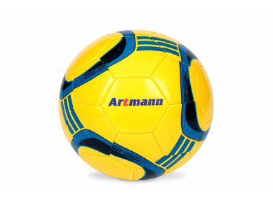 Футбольный мяч Artmann Flash NP2