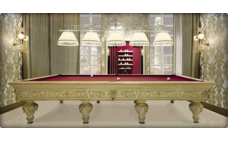 https://tt-billiard.ua/image/cache/catalog/old/Category/category1/2_billiard-228x142.png