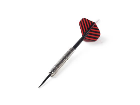 Дротики для дартса WinMax G405 (21 грамм)