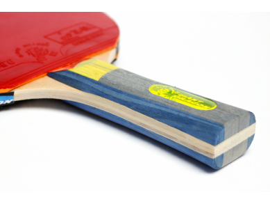 Тенісна ракетка Karate 4 * Giant Dragon