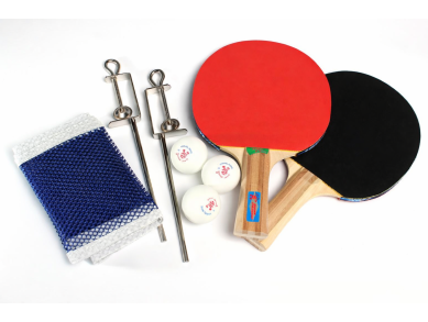 Набір для настільного тенісу Guard 2 * Giant Dragon з сіткою