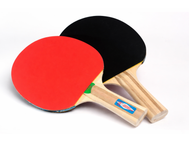 Набір для настільного тенісу Guard 2 * Giant Dragon з сіткою