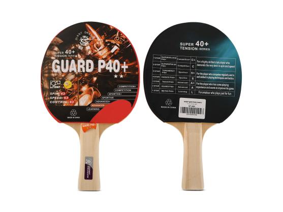 Набор для настольного тенниса Giant Dragon Guard P40+ 2 ракетки 2 мяча чехол